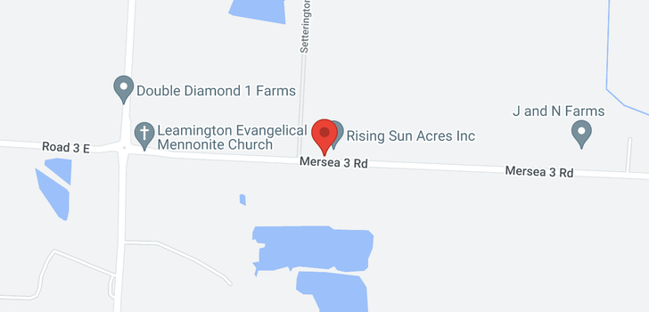 map of 211 MERSEA RD 3